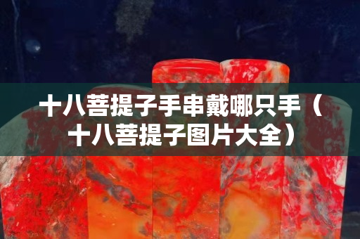 十八菩提子手串戴哪只手（十八菩提子图片大全）