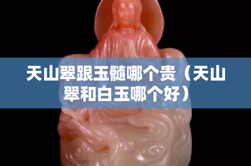天山翠跟玉髓哪个贵（天山翠和白玉哪个好）