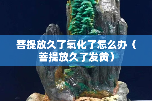 菩提放久了氧化了怎么办（菩提放久了发黄）