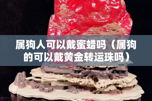 属狗人可以戴蜜蜡吗（属狗的可以戴黄金转运珠吗）