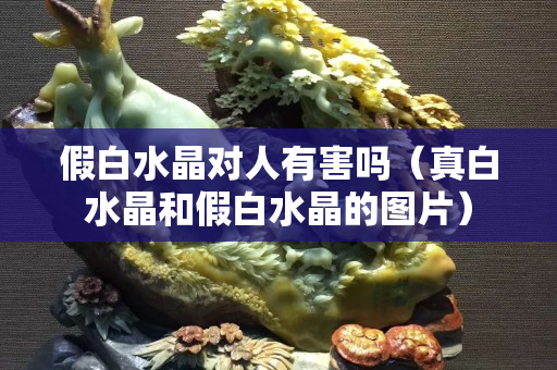 假白水晶对人有害吗（真白水晶和假白水晶的图片）