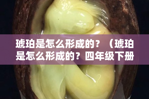 琥珀是怎么形成的？（琥珀是怎么形成的？四年级下册）