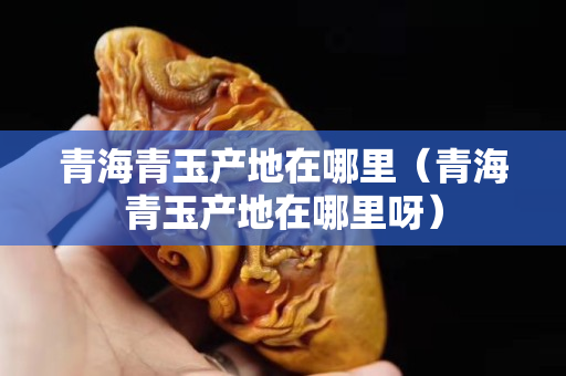 青海青玉产地在哪里（青海青玉产地在哪里呀）