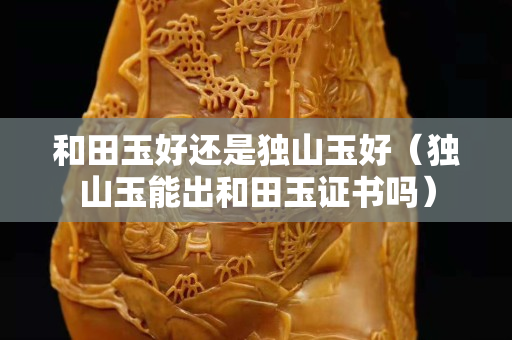 和田玉好还是独山玉好（独山玉能出和田玉证书吗）