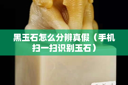 黑玉石怎么分辨真假（手机扫一扫识别玉石）