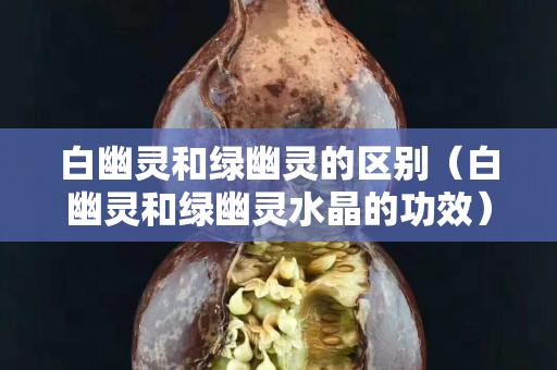 白幽灵和绿幽灵的区别（白幽灵和绿幽灵水晶的功效）
