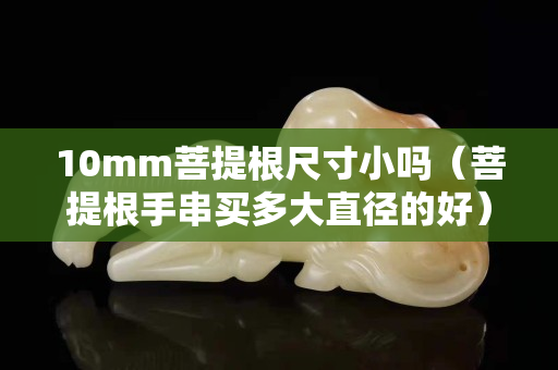10mm菩提根尺寸小吗（菩提根手串买多大直径的好）