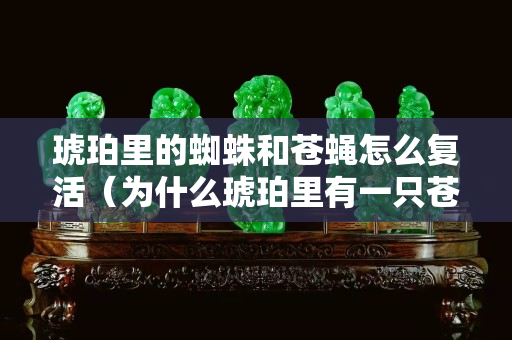 琥珀里的蜘蛛和苍蝇怎么复活（为什么琥珀里有一只苍蝇和蜘蛛很少见）