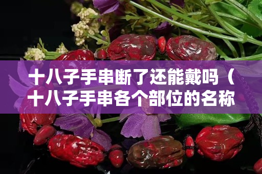 十八子手串断了还能戴吗（十八子手串各个部位的名称）