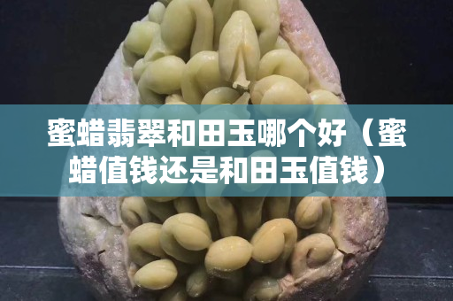 蜜蜡翡翠和田玉哪个好（蜜蜡值钱还是和田玉值钱）