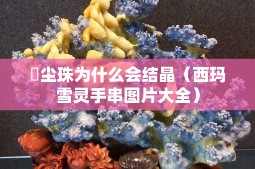雮尘珠为什么会结晶（西玛雪灵手串图片大全）