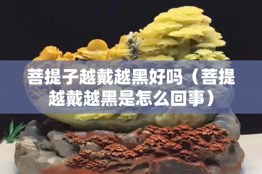 菩提子越戴越黑好吗（菩提越戴越黑是怎么回事）