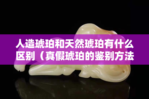 人造琥珀和天然琥珀有什么区别（真假琥珀的鉴别方法图解）
