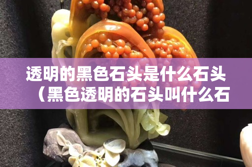 透明的黑色石头是什么石头（黑色透明的石头叫什么石）