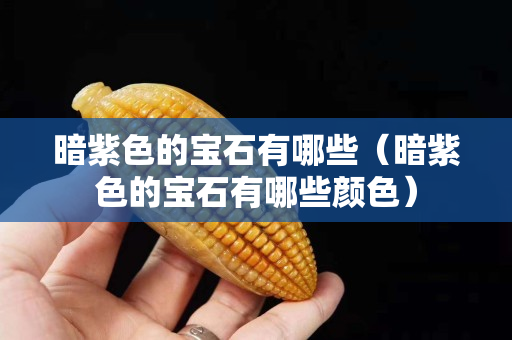 暗紫色的宝石有哪些（暗紫色的宝石有哪些颜色）