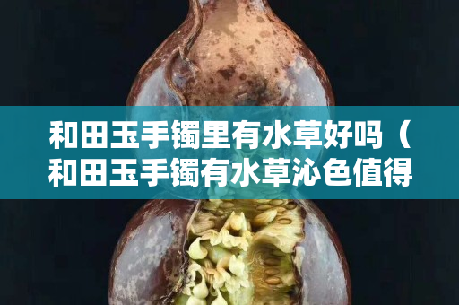 和田玉手镯里有水草好吗（和田玉手镯有水草沁色值得买吗？）