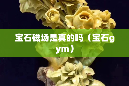 宝石磁场是真的吗（宝石gym）