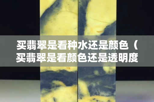 买翡翠是看种水还是颜色（买翡翠是看颜色还是透明度）