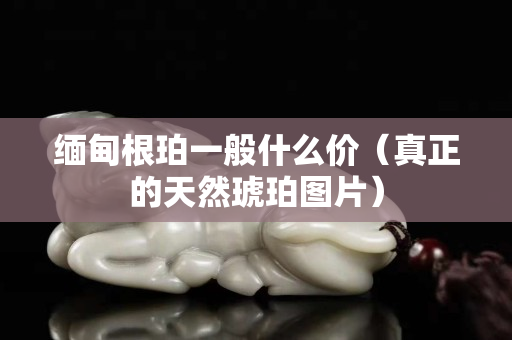 缅甸根珀一般什么价（真正的天然琥珀图片）