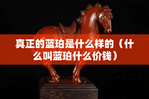 真正的蓝珀是什么样的（什么叫蓝珀什么价钱）
