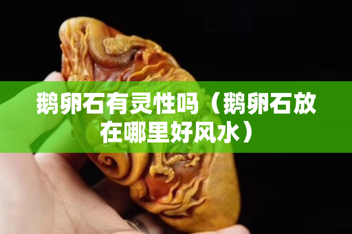鹅卵石有灵性吗（鹅卵石放在哪里好风水）