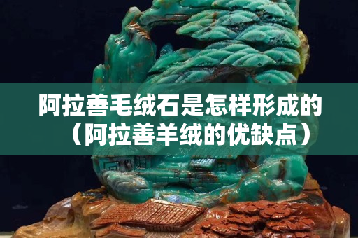 阿拉善毛绒石是怎样形成的（阿拉善羊绒的优缺点）