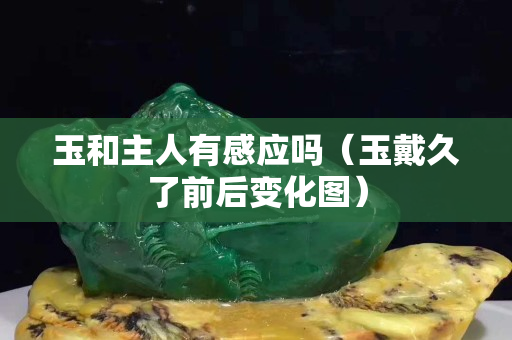 玉和主人有感应吗（玉戴久了前后变化图）
