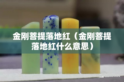 金刚菩提落地红（金刚菩提落地红什么意思）