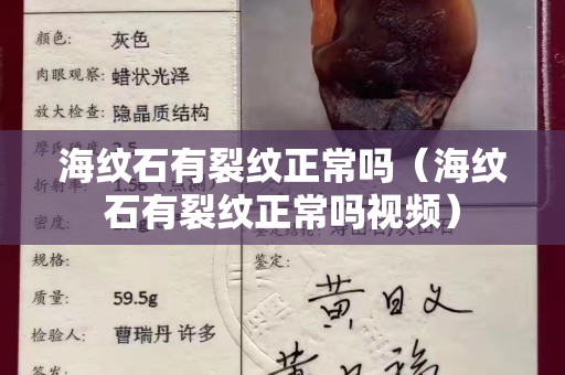 海纹石有裂纹正常吗（海纹石有裂纹正常吗视频）
