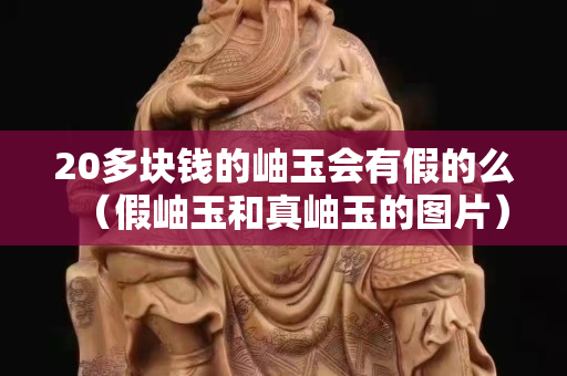 20多块钱的岫玉会有假的么（假岫玉和真岫玉的图片）