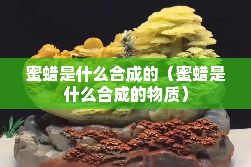 蜜蜡是什么合成的（蜜蜡是什么合成的物质）