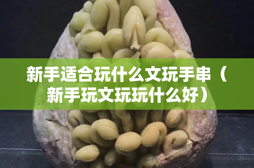 新手适合玩什么文玩手串（新手玩文玩玩什么好）