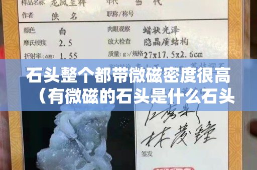石头整个都带微磁密度很高（有微磁的石头是什么石头）