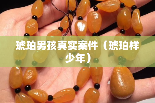 琥珀男孩真实案件（琥珀样少年）