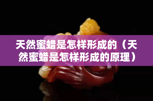 天然蜜蜡是怎样形成的（天然蜜蜡是怎样形成的原理）
