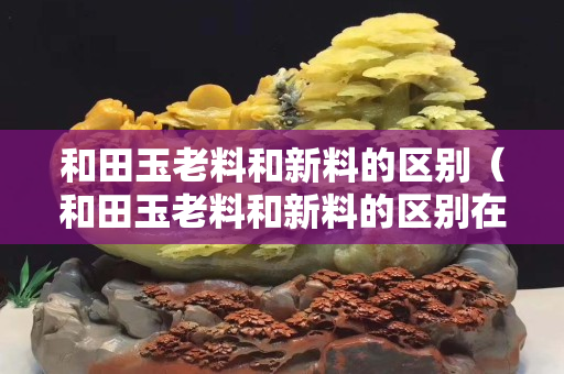 和田玉老料和新料的区别（和田玉老料和新料的区别在哪）