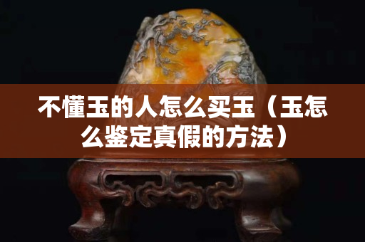 不懂玉的人怎么买玉（玉怎么鉴定真假的方法）