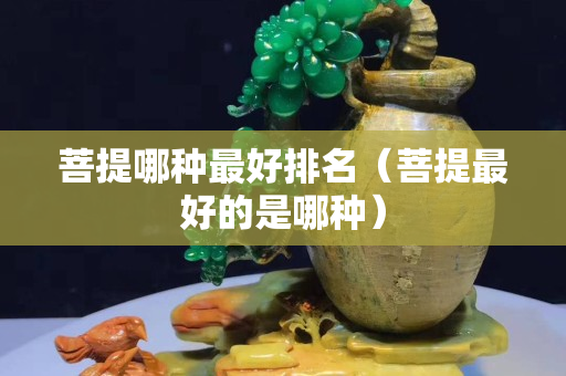 菩提哪种最好排名（菩提最好的是哪种）