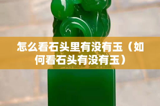怎么看石头里有没有玉（如何看石头有没有玉）