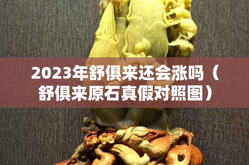 2023年舒俱来还会涨吗（舒俱来原石真假对照图）