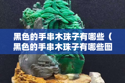 黑色的手串木珠子有哪些（黑色的手串木珠子有哪些图片）