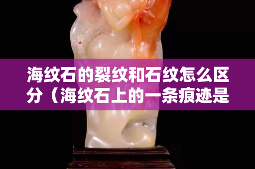 海纹石的裂纹和石纹怎么区分（海纹石上的一条痕迹是裂纹么）