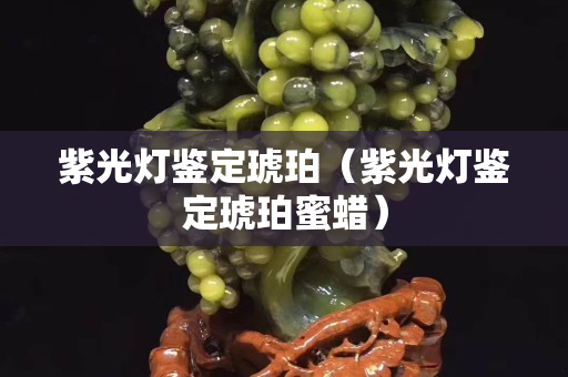 紫光灯鉴定琥珀（紫光灯鉴定琥珀蜜蜡）