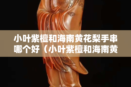 小叶紫檀和海南黄花梨手串哪个好（小叶紫檀和海南黄花梨手串哪个好看）