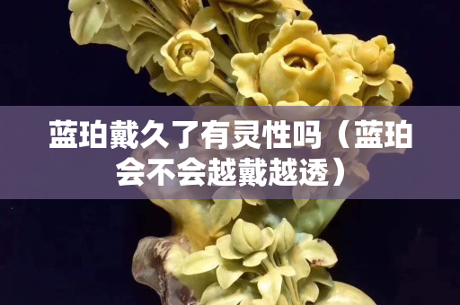 蓝珀戴久了有灵性吗（蓝珀会不会越戴越透）
