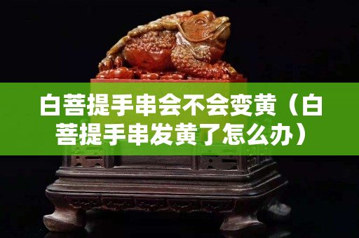 白菩提手串会不会变黄（白菩提手串发黄了怎么办）