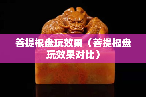 菩提根盘玩效果（菩提根盘玩效果对比）