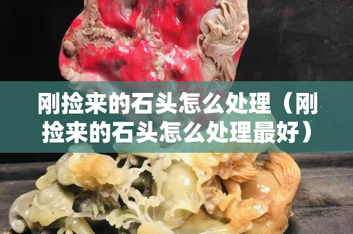 刚捡来的石头怎么处理（刚捡来的石头怎么处理最好）