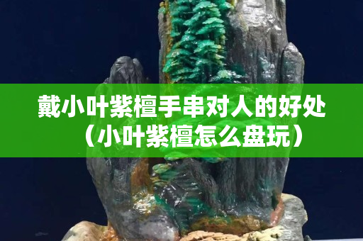 戴小叶紫檀手串对人的好处（小叶紫檀怎么盘玩）