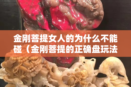 金刚菩提女人的为什么不能碰（金刚菩提的正确盘玩法）